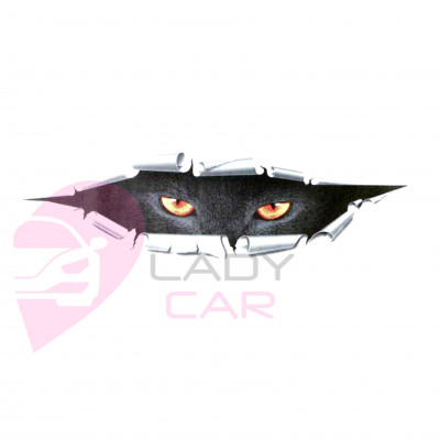 Наклейка на кузов "Чёрный кот"