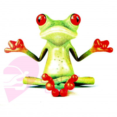 Наклейка на кузов "Frog"