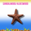 Ароматизатор Kogado Starfish Sandalwood/Aloeswood коричневый