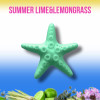 Ароматизатор Kogado Starfish Summer Lime&Lemongrass зелёный