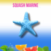Ароматизатор Kogado Starfish Squash Marine голубой