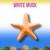 Ароматизатор Kogado Starfish White Musk оранжевый