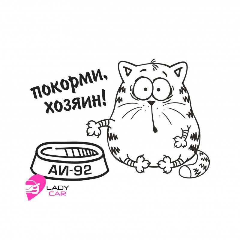 Наклейка на кузов "Покорми хозяин"