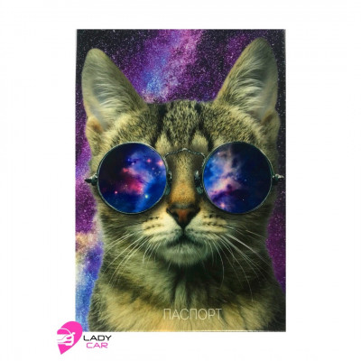 Обложка на автодокументы "Космический кот"