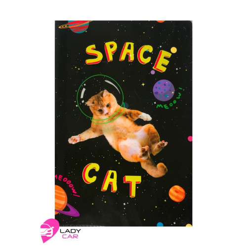 Обложка на автодокументы " Space cat"