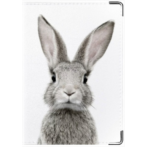 Обложка на автодокументы «Rabbit»